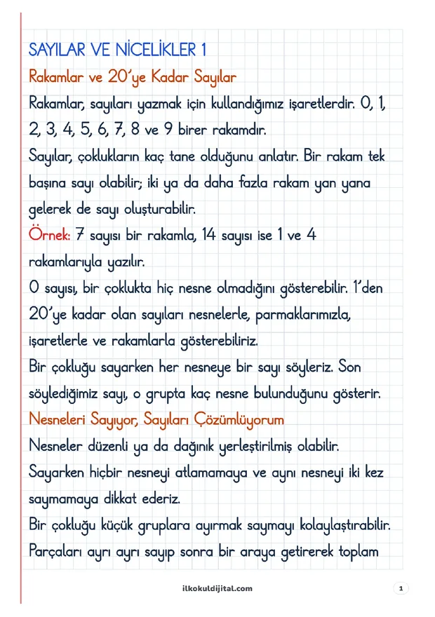 Sayılar ve Nicelikler (1) Defter Notları ön izlemesi