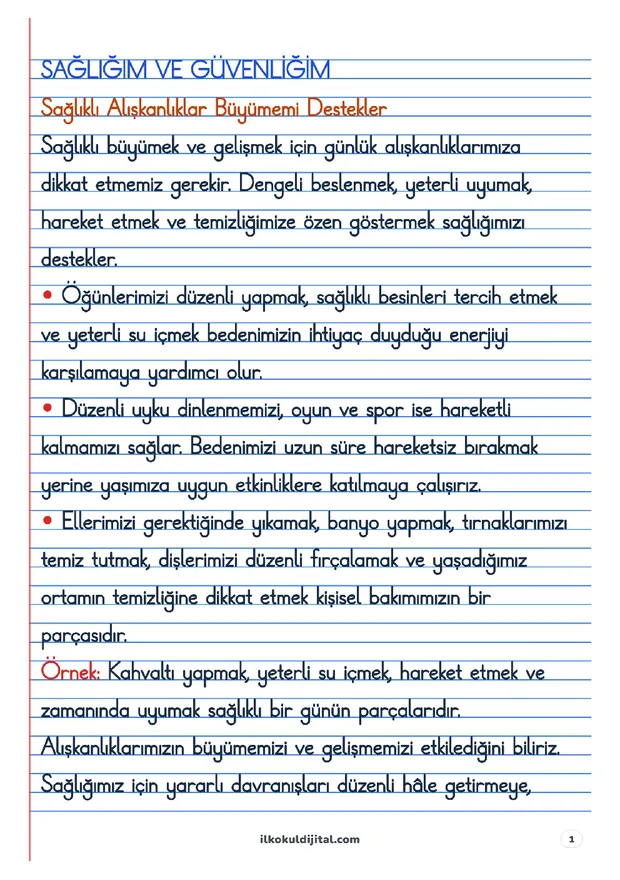 2. Sınıf Hayat Bilgisi 11. Hafta: Sağlığım ve Güvenliğim Defter Notları ön izlemesi