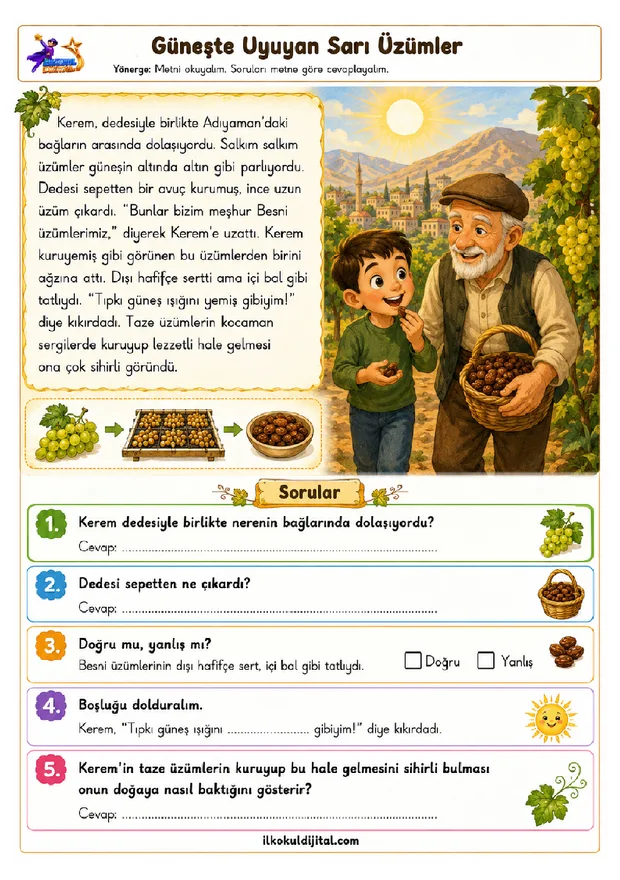 3. Sınıf Okuma ve Anlama 11 ön izlemesi